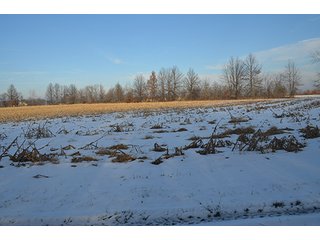 Property photo 2 - FARMLAND AUCTION, 60+/- Acres in 6 Tracts ranging from 4 to 20 acres & in combinations!